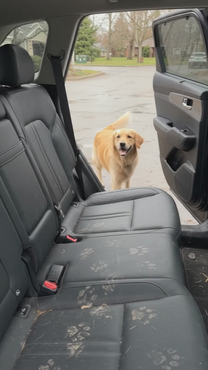 Installing The Mellow Pet dog car seat cover